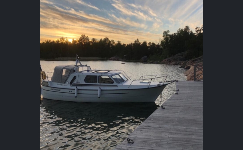 Albatross Flying 870-kuva-4